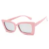 C6 Pink Mirror Silver