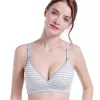 Grey Stripe