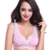 Pink Blue Spot