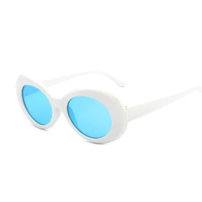Round Retro Sunglasses for Men Women Fashion Resin Lens Plastic Frame