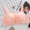 shrimp