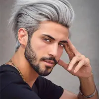 Men Fashion Silver Gray Straight Hair Wigs
